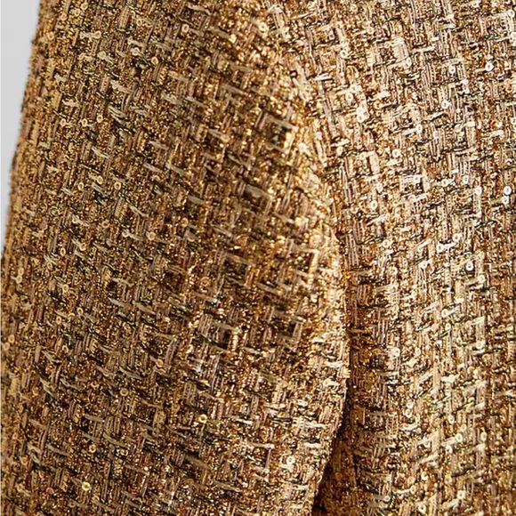 Brand New Express Gold Metallic Tweed Fringe Trim Jacket (Size: XS) - Picture 6 of 6
